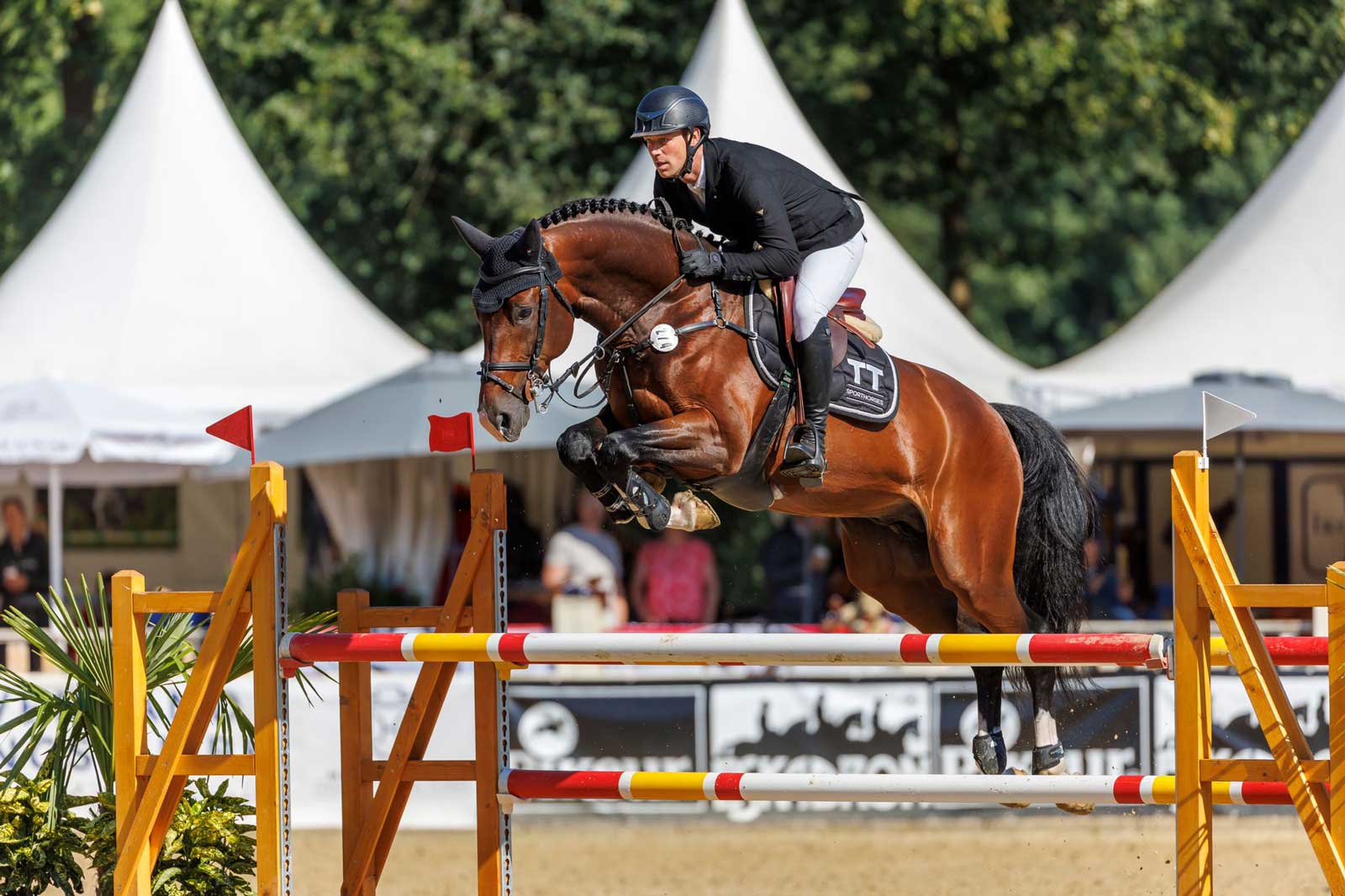 Pferd: "Dacantos" - Reiter: "Tobias Thoenes" in Warendorf