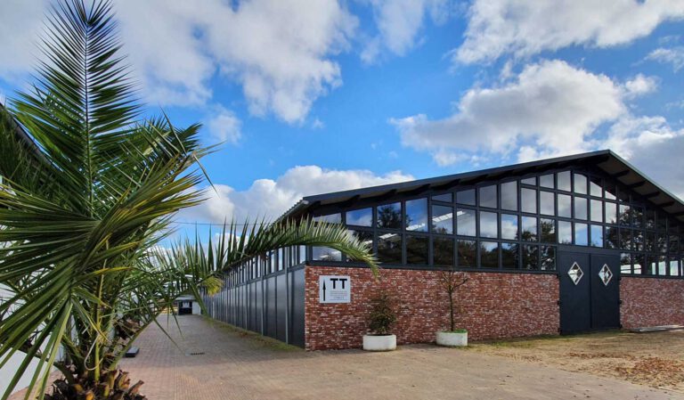 Tunierstall - TT-Sporthorses GmbH - Geschäftsführer "Tobias Thoenes"