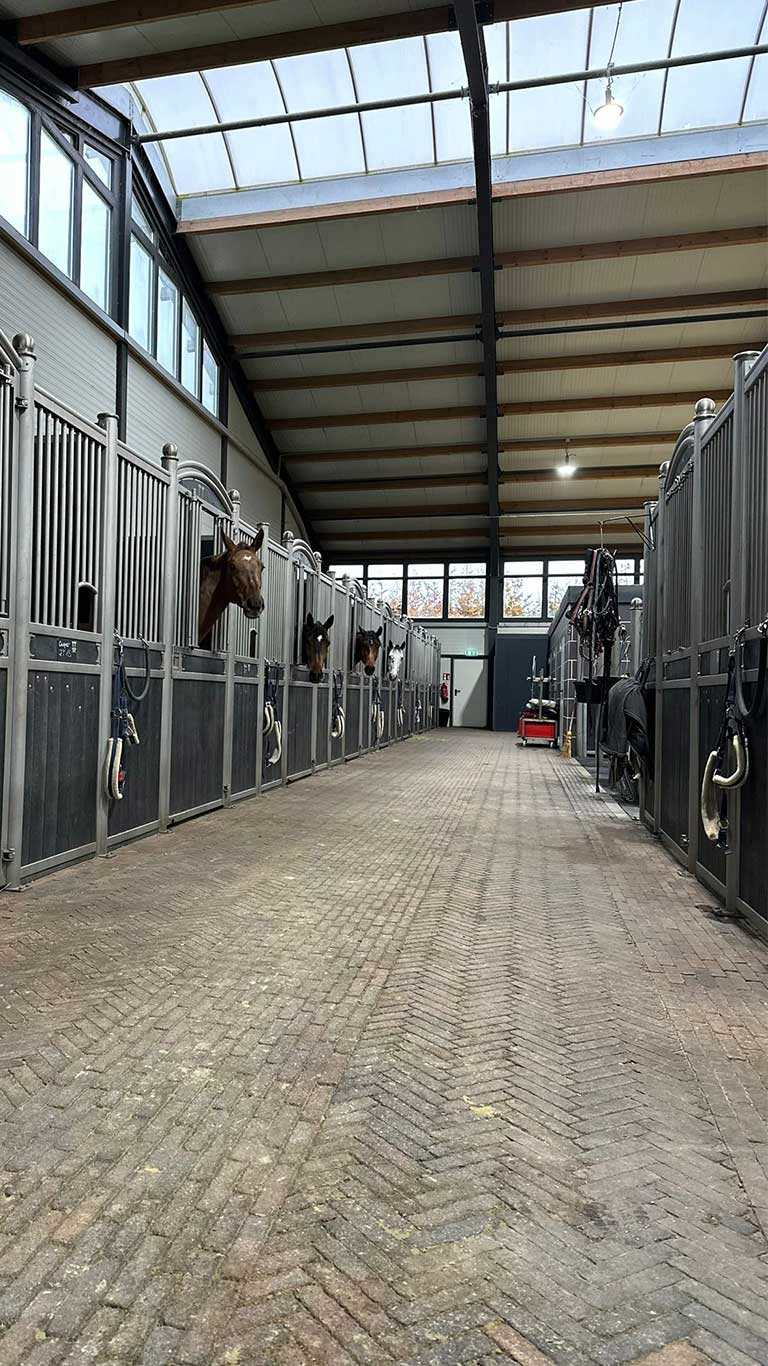 Tunierstall - TT-Sporthorses GmbH - Geschäftsführer "Tobias Thoenes" - Pferdeboxen - Gang