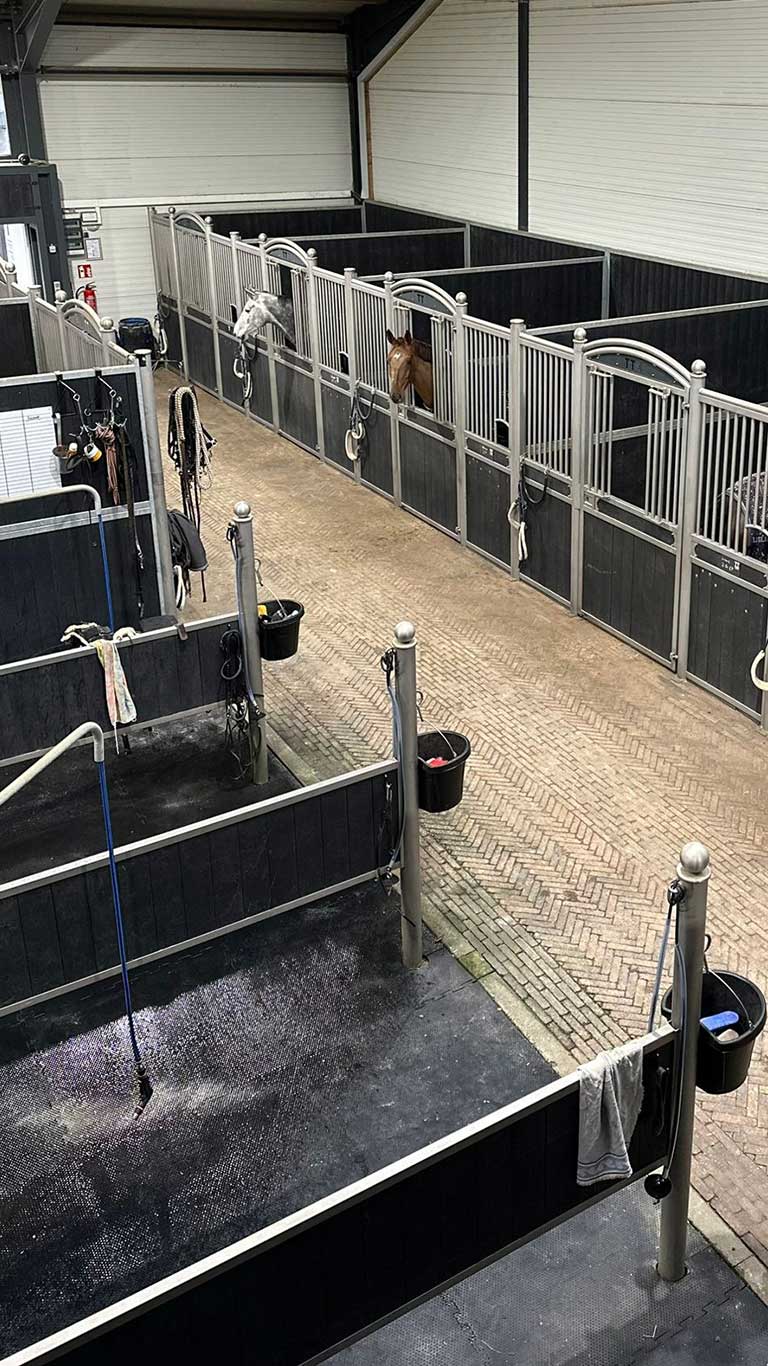 Tunierstall - TT-Sporthorses GmbH - Geschäftsführer "Tobias Thoenes" - Pferdeboxen